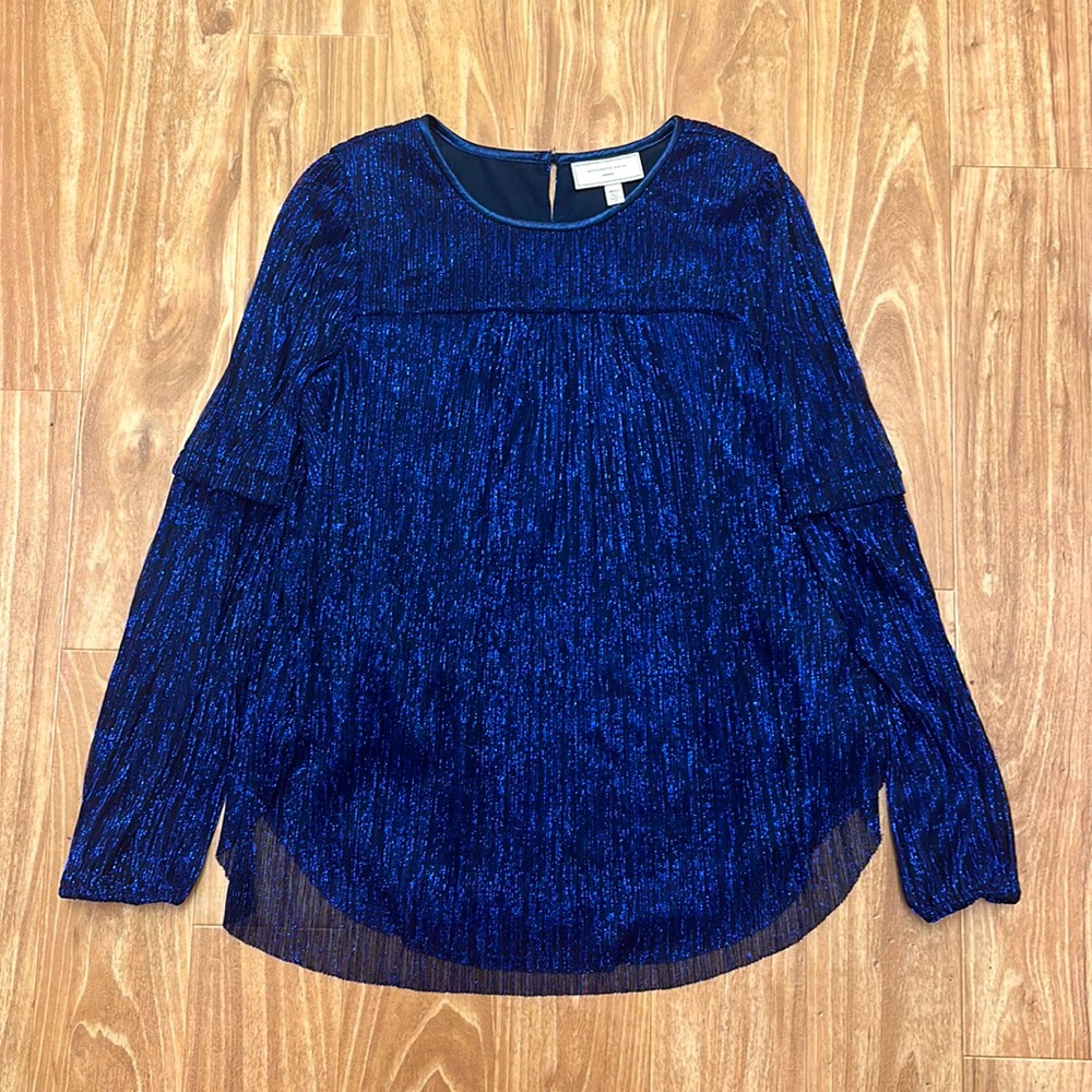 Beautiful sparkly long sleeve blouse.